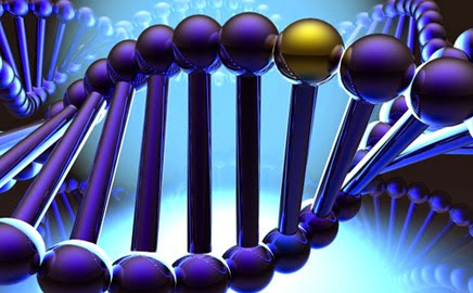 Qué es el perfil genetico