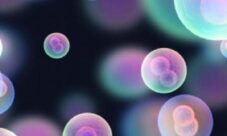 Postulados de la teoría celular